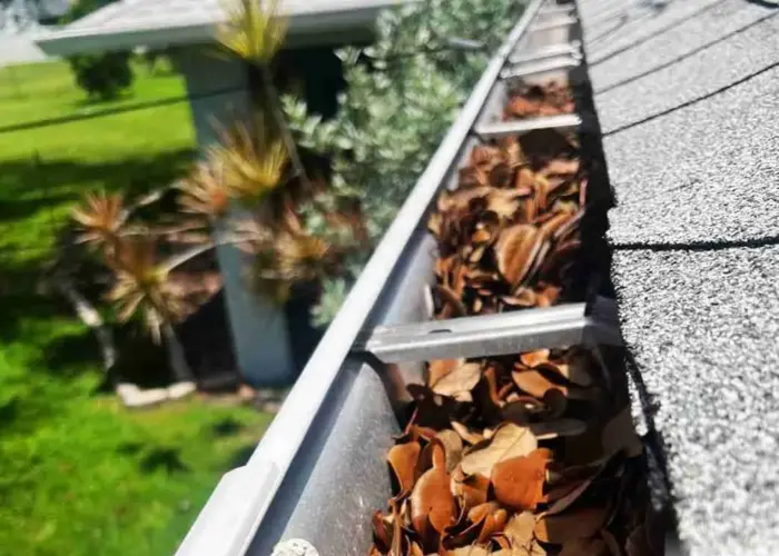 Montrose gutter cleaning home page